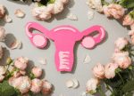 schéma d'un organe reproducteur feminin (utérus, trompes, ovaires, vagin...) entouré de roses, pour expliquer pourquoi les femmes subissent des douleurs menstruels